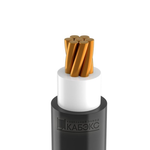 Кабель ВВГнг(А)-LS 1х150 МК 1кВ Б | код. ТХМ00373366 | Кабэкс