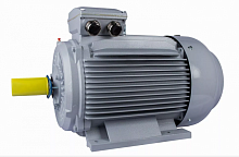 Электродвигатель 315 S4-SDN-Б1-S12-IE3 IM B3 110/1500 Китай (ESQ PR) | код 01.05.02.000108 | ESQ