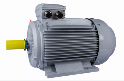 Электродвигатель 315 S4-SDN-Б1-S12-IE3 IM B3 110/1500 Китай (ESQ PR) | код 01.05.02.000108 | ESQ