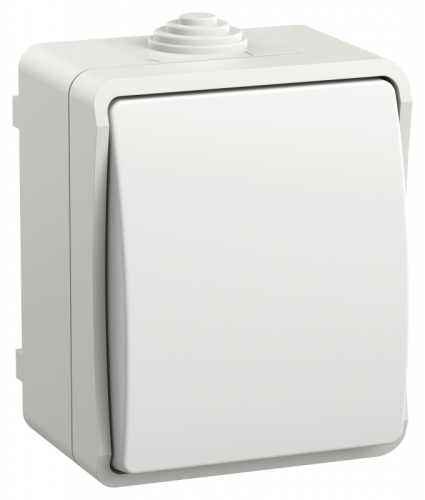 FORS Выкл. 1-кл. прох. о/у IP54 ВС20-1-0-ФБ бел. IEK | код EVS10-K01-10-54-DC | IEK FORS Выкл. 1-кл. прох. о/у IP54 ВС20-1-0-ФБ бел. IEK | код EVS10-K01-10-54-DC | IEK