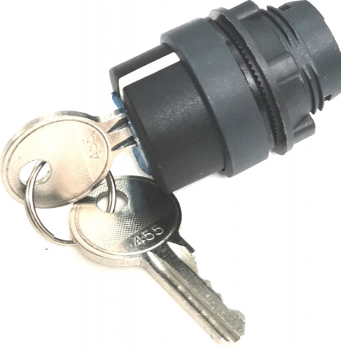 КПЕ 31К IP40 LAY4-EG4.BR Головка для переключателя 22 мм 2 позиции с ключем с возвратом | код LAY4-EG4.BR | Briswik КПЕ 31К IP40 LAY4-EG4.BR Головка для переключателя 22 мм 2 позиции с ключем с возвратом | код LAY4-EG4.BR | Briswik