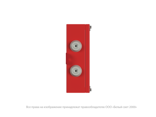 Указатель световой BS-CANRON-10-S1-24 | код a15578 | Белый Свет фото 4