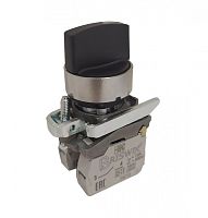 КПЕ 37РС IP66 ZB4BD4.66.BR Головка для переключателя 22 мм 2 позиции с возвратом металлическая | код ZB4BD4.66.BR | Briswik