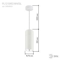 Светильник декоративный подвесной под лампу GX53 алюминий цвет белый+серебро PL12 GX53 WH/SL | код Б0048543 | ЭРА