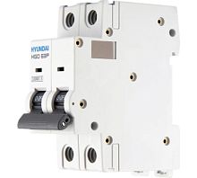 Автоматический выключатель HGD63P 2PMCS0000C 00025 2 полюса, 25А, ток к.з. 10kA, хар-ка C (STANDARD) | код 13.04.001080 | HYUNDAI