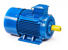 Электродвигатель 250 М4 IM 1001 90/1500 Китай (5АИ) | код 01.01.213754 | ESQ