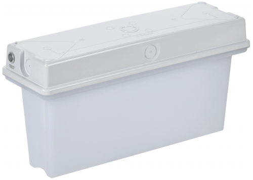 Светильник авар. ССА1010 3ч универс. IP65 с УДТУ IEK | код LSSA1-1010-3-65-K01 | IEK