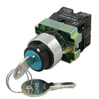 Ключ-выключатель RUICHI 3SA8-BG03, 3 положения, 2NO, 3 А, 240 В, IP40, винтовой зажим | код 71619 | Ruichi