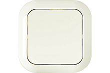 Беларусь Переключатель одноклавишный скрытый С66-120 | код Выключатель С6 6-120 | БелТИЗ