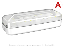 Аварийный светильник BS-JUNIOR-10-L1-24 | код a15714 | Белый Свет