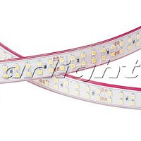 Лента RTW 2-5000P 24VDay White2x2(3528,1200LED,LUX | код. 014953 | Arlight