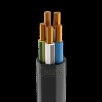 Кабель ППГнг(А)-HF 5х6 (N PE) 0.66кВ | код ТХМ00132578 | Кабэкс ( 1м )