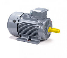 Электродвигатель 200 L2 GST-Б1-S12-IE2 IM 1001 45/3000 Китай (ESQ PR) | код 01.01.223790 | ESQ