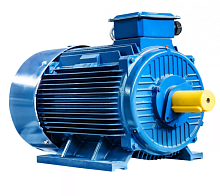 Электродвигатель 315 М2 IM 1001 200/3000 Китай (5АИ) | код 01.01.213560 | ESQ