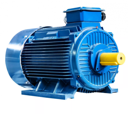 Электродвигатель 315 М2 IM 1001 200/3000 Китай (5АИ) | код 01.01.213560 | ESQ