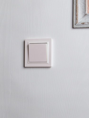 BRITE Выключ. 1-кл. 10А в сб. ВСР10-1-0-БрЖ жемч. IEK | код BR-V10-0-10-K36-F | IEK фото 5 BRITE Выключ. 1-кл. 10А в сб. ВСР10-1-0-БрЖ жемч. IEK | код BR-V10-0-10-K36-F | IEK фото 5