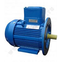 Электродвигатель 132 SA2 У1, 380/660В, 1ExdIIBT4 Gb, IE3-89,2%, без силового кабельного ввода, подшипники SKF, SDN, IM B35 5.5/3000 Орлан (АИМУ) | код 01.02.02.2.000026 | ESQ