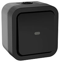 Переключатель 1-кл. ОП TORS 10А IP55 TS102 с индикацией графит | код TS-V10-1-10-55-K53 | IEK