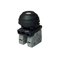 Выключатель Briswik КЕ 081/1м белый 2но+0нз Цилиндр с наружным протектором IP66 УХЛ2 10А | код aZ-DB-3Ai-0822 | Briswik