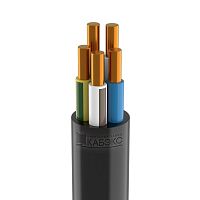 Кабель ВВГнг(А)-LSLTx 5х4 (N PE) 0.66кВ | код ТХМ00343145 | Кабэкс ( 1м )