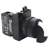 Переключатель CP101S21 | код CP101S21 | EMAS