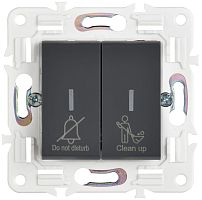 Выключатель 2-кл. SKANDY 10А SK-V16G для отелей с индикацией графит IEK SK-V20-2-10-K53