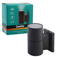 Светильник уличный фасадный металлический IP54 LGU10-02 C02 черн. Camelion 15387