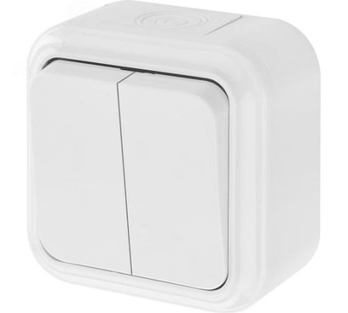 Беларусь Выключатель двухклавишный IP44 наружный | код А5 6-224 | БелТИЗ