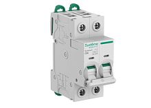 Автоматический выключатель (АВ) C 6A 2P 10kA 400В Systeme9 | код S9F32206 | Systeme Electric