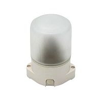 Светильник "Банник" НББ 01-60-001 Цилиндр УХЛ1 1х60Вт E27 IP65 230В -45…+125град.C Витебск | код. 0111-00010 | ЧПТУП ВЭТП Свет Витебск