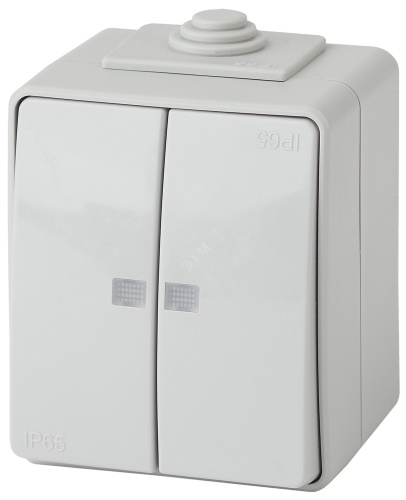 Выключатель двойной с подсветкой IP65, 10АХ-250В, ОУ, Эра Эксперт, серый,11-1605-03 | код Б0035977 | ЭРА