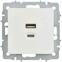 Розетка СП BRITE РЮ11-2-БрБ USB A+C 45Вт высокоскор. заряд. бел. IEK BR-U22-045-K01