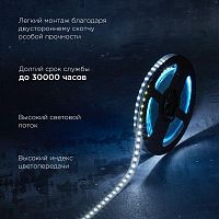 Лента светодиодная 24В SMD2835 9,6Вт/м 120LED/м 6500K 10мм 5м IP20 | код 141-639 | REXANT