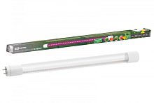 Лампа светодиодная T8-9 Вт-230 В-G13 ФИТО 600 мм TDM | код SQ0340-0238 | TDM