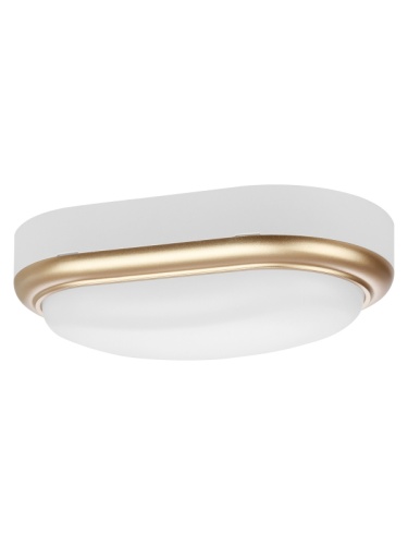 Светильник накладной LED ДПО Антарес 15Вт 6500К овал 221*131*68 мм мат.золото IP54 TDM | код SQ0354-0028 | TDM