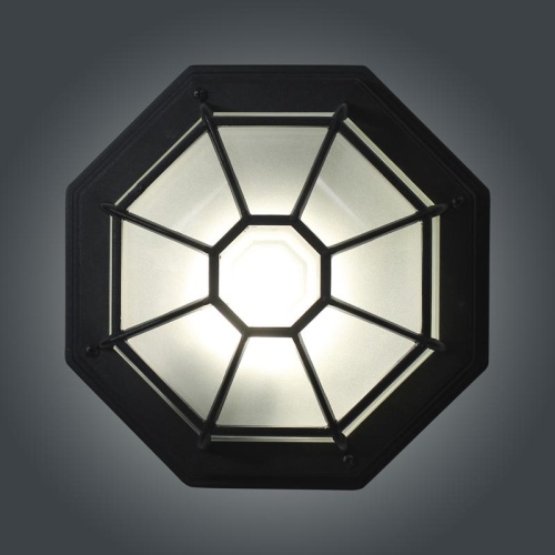 Светильник Тартаруга НПП 03-100-005 IP65 матовый /корпус с решеткой черный ИМ | код 1005301193 | Элетех фото 4