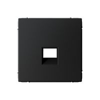 ARTGALLERY НАКЛАДКА для информационных функций типа Keystone, КАРБОН | код GAL001084 | Systeme Electric