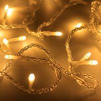 Гирлянда светодиодная декоративная ARD-STRING-HOME-5000-CLEAR-50LED-STD WARM (230V, 3.5W) (ARDCL, IP20) | код 25749 | Arlight