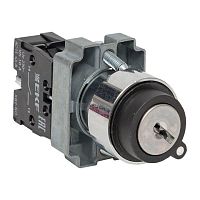 кулачковый переключатель, 2 позиции, 10А | код. xb2-bg21 | EKF