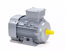 Электродвигатель 80 А2-SDN-Б1-S12-IE2 IM B3 0.75/3000 Китай (ESQ PR) | код 01.05.02.000001 | ESQ