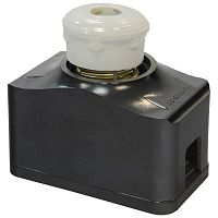 Предохр. резьбовой ПРС-63 У3-П, с пл. вставкой ПВДIII-40 У3 И | код 310063П02В040.00И000 | КЗЭ (Кашинский завод электроаппаратуры)