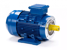 Электродвигатель 80 B8-SDN- IM B34 0.25/750 Китай (ESQ) | код 01.05.222388 | ESQ