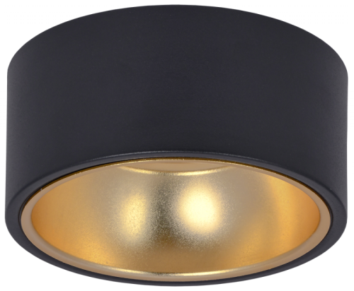 Светильник 4017 накл. потолочн. GX53 черный/золото IEK | код LT-UPB0-4017-GX53-1-K57 | IEK Светильник 4017 накл. потолочн. GX53 черный/золото IEK | код LT-UPB0-4017-GX53-1-K57 | IEK