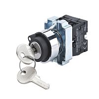 Переключатель NP2-BG23, 2 положения фиксацией, 2НО, IP40 (R) | код 575992 | CHINT