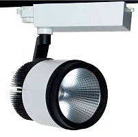 Светильник светодиодный PROCYON III LED 40 N 4000Kwhite 36 deg clean (Luxeon) | код Q0572958 | Vivo Luce!
