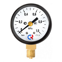 Манометр общетехнический радиальный ТМ-110Р.00 0…2,5 МРа М10х1.2 кл.2.5 | код 26397 | РОСМА
