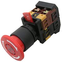 Кнопочный переключатель RUICHI 3SA12-22E-11ZS | код 71621 | Ruichi