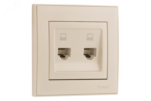 Розетка RAIN компьютерная 2-ая белая | код 703-0202-141 | Lezard Розетка RAIN компьютерная 2-ая белая | код 703-0202-141 | Lezard