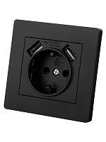 Розетка 2П+З 16А 250В + 2 USB порта 2,1А 5В черная Сенеж TDM | код SQ1816-0283 | TDM