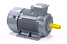 Электродвигатель 100 S2 GST-Б1-S12-IE2 IM 1081 4/3000 Китай (ESQ PR) | код 01.01.223756 | ESQ